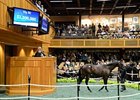 Hip 80, by Street Cry out of Serenading, sold for $1.2 million at Fasig-Tipton Saratoga.