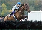 MAHUBAH'S CORNER: Magnificent McDynamo MAHUBAH'S CORNER: Magnificent McDynamo