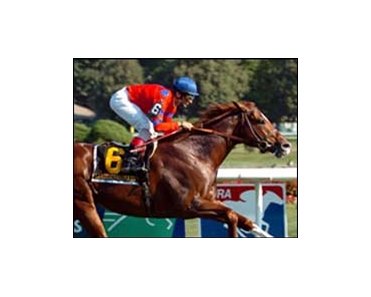 Fourstardave winner Leroidesanimaux puts streak on the line in Sunday's Atto Mile.
