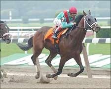 Team Valor Purchase Lands in Breeders' Cup Juvenile Team Valor Purchase Lands in Breeders' Cup Juvenile