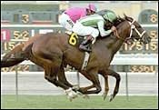 Johar Leads U.S. Contingent to Japan Cup Races Johar Leads U.S. Contingent to Japan Cup Races