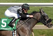 Xchanger Back in Form for Tesio Romp Xchanger Back in Form for Tesio Romp