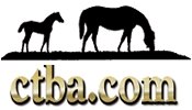 CTBA Yearling Auction Holds Its Own Vs. Record Sale in 2001 CTBA Yearling Auction Holds Its Own Vs. Record Sale in 2001