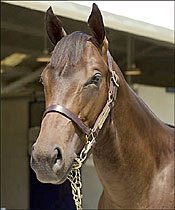 Numbers Soar as Fasig-Tipton Gets Yearling Sale Season Off to Strong Start Numbers Soar as Fasig-Tipton Gets Yearling Sale Season Off to Strong Start