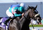 Zenyatta Headed for Louisville Distaff Zenyatta Headed for Louisville Distaff