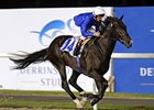 Unbeaten Mendip Tops UAE Derby Cast Unbeaten Mendip Tops UAE Derby Cast