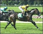 Sharp Performance Wins Lexington in Stakes Debut Sharp Performance Wins Lexington in Stakes Debut