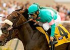 Zenyatta Connections Pulling for Madeo Zenyatta Connections Pulling for Madeo