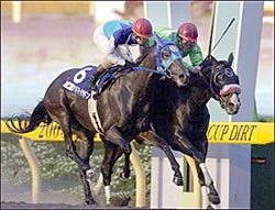 O'Neill-Trained Fleetstreet Dancer Posts 48-1 Shocker in Japan Cup Dirt O'Neill-Trained Fleetstreet Dancer Posts 48-1 Shocker in Japan Cup Dirt