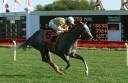 Perret Ends 32-Year Drought With Pucker Up Win Aboard Snow Dance Perret Ends 32-Year Drought With Pucker Up Win Aboard Snow Dance