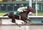 Oregon Champion Euthanized Oregon Champion Euthanized
