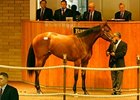 The Sale-Topper, Hip #122; filly, Silver Deputy — Duchess Kiss by Cox's Ridge sold for $800,000 at Barretts March select sale of 2-year-olds in training sale.
