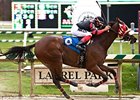 Sweet Goodbye takes on the boys in the Jim McKay Maryland Million Classic.