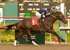Slew's Tizzy pulls away in the Native Diver.<br><a target="blank" href="http://www.bloodhorse.com/horse-racing/photo-store?ref=http%3A%2F%2Fpictopia.com%2Fperl%2Fgal%3Fprovider_id%3D368%26ptp_photo_id%3D6978690%26ref%3Dstory">Order This Photo</a>