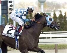 Nobiz Like Shobiz Tries Turf on Hall of Fame Day Nobiz Like Shobiz Tries Turf on Hall of Fame Day