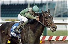 Gross, Median Increase During Keeneland November Sale's Third Session Gross, Median Increase During Keeneland November Sale's Third Session