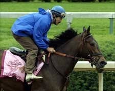 Diplomat Lady Breezes Toward Oaks; Press Camp Out and Red Cherries Spin In Diplomat Lady Breezes Toward Oaks; Press Camp Out and Red Cherries Spin In