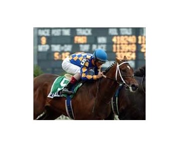 Private Vow and Jerry Bailey win the Belmont Futurity.