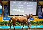 Response topped the second day of the Magic Millions broodmare sale when she sold for $1.5 million (US$1,159,620).