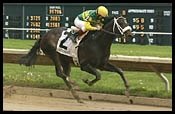 Orientate Splashes Home With Commonwealth Win Orientate Splashes Home With Commonwealth Win