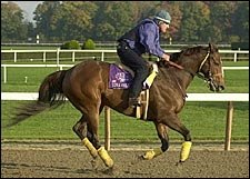 Champion Kona Gold Returns to the Track--As Stable Pony Champion Kona Gold Returns to the Track--As Stable Pony