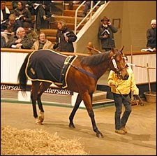 Airwave Tops Tattersalls Session as Numbers Decline Airwave Tops Tattersalls Session as Numbers Decline