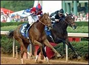 Horse of the Year Azeri Posts Game Apple Blossom Victory Horse of the Year Azeri Posts Game Apple Blossom Victory