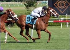 Dreaming of Anna Digs In, Wins Virginia Oaks Dreaming of Anna Digs In, Wins Virginia Oaks