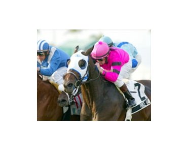 Prince Arch (2) makes his move near the wire to take the Gulfstream Park Breeders Cup Handicap.