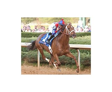 Azeri makes impressive return with runaway win in the Apple Blossom.