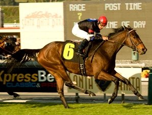 The Usual Q. T. Keeps 6-Race Streak Alive The Usual Q. T. Keeps 6-Race Streak Alive