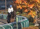 Keeneland