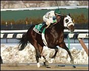 Lukas-Trained Boston Park Takes Whirlaway Stakes Lukas-Trained Boston Park Takes Whirlaway Stakes