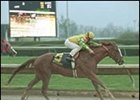 A New Twist Wins Muddy Madison A New Twist Wins Muddy Madison