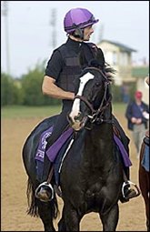 Six Perfections Has Final Breeders' Cup 'Work' Six Perfections Has Final Breeders' Cup 'Work'