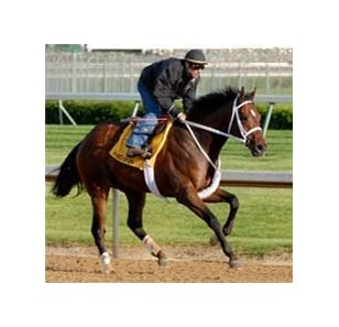 Hard Spun won't be 3 until May 10.<br><a target="blank" href="http://www.bloodhorse.com/horse-racing/photo-store?ref=http%3A%2F%2Fpictopia.com%2Fperl%2Fgal%3Fgallery_id%3D14779%26sequencenum%3D0%26provider_id%3D368%26process%3Dgallery%26page%3Dthumbnails">Derby Works Photos</a>
