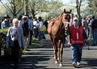 Keeneland Attendance Up, Handle Down Keeneland Attendance Up, Handle Down