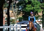 Haskin's Belmont Report: Look to the Exotics Haskin's Belmont Report: Look to the Exotics