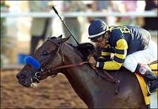 Saddened Baffert Rebounds in 'Bernardo Win Saddened Baffert Rebounds in 'Bernardo Win