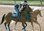 Excellent Meeting, preparing for the 1999 Kentucky Derby at Churchill Downs.