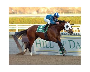 2007 Cigar Mile winner Daaher has been retired and will enter stud for the 2008 season at Shadwell's Nashwan Stud.<br><a target="blank" href="http://www.bloodhorse.com/horse-racing/photo-store?ref=http%3A%2F%2Fpictopia.com%2Fperl%2Fgal%3Fprovider_id%3D368%26ptp_photo_id%3D2859628%26ref%3Dstory">Order This Photo</a>