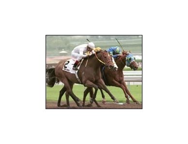 Champion Kona Gold (2) rallied to defeat Hollycombe and Explicit in Sunday's Potrero Grande at Santa Anita.