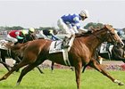 Hirofumi Shii rides Deep Sky to victory in the 75th running of the Japan Derby.
