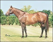Leading Broodmare Sire 2004: Dixieland Band Leading Broodmare Sire 2004: Dixieland Band