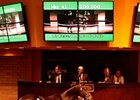 Barretts Sale, Hip 41 sold for $100,000.