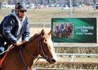 Mountaineer Park