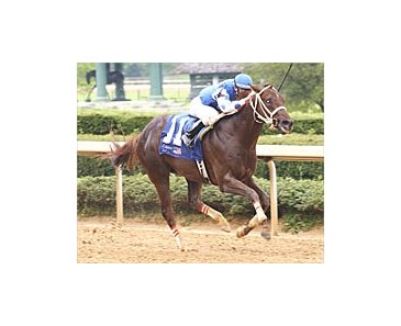 Smarty Jones makes it six-in-a-row and a run for the roses with decisive win in the Arkansas Derby.