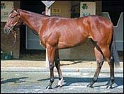 Fasig-Tipton Midlantic Sale Posts Record Gross; Smoke Glacken Colt Sells For $320,000 Fasig-Tipton Midlantic Sale Posts Record Gross; Smoke Glacken Colt Sells For $320,000