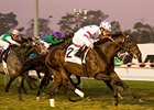 Court Vision goes by them all to take the Hollywood Derby.<br><a target="blank" href="http://www.bloodhorse.com/horse-racing/photo-store?ref=http%3A%2F%2Fpictopia.com%2Fperl%2Fgal%3Fprovider_id%3D368%26ptp_photo_id%3D6910928%26ref%3Dstory">Order This Photo</a>