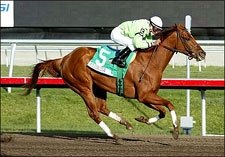 Alix M Overpowers Bear Fan in F&M Sprint Alix M Overpowers Bear Fan in F&M Sprint
